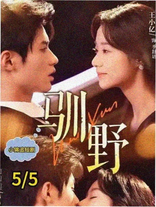 城南旧事版本对比